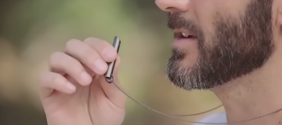 Cargar video: 